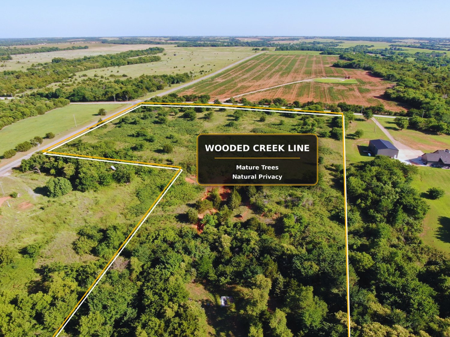 Wooded creek line with mature trees